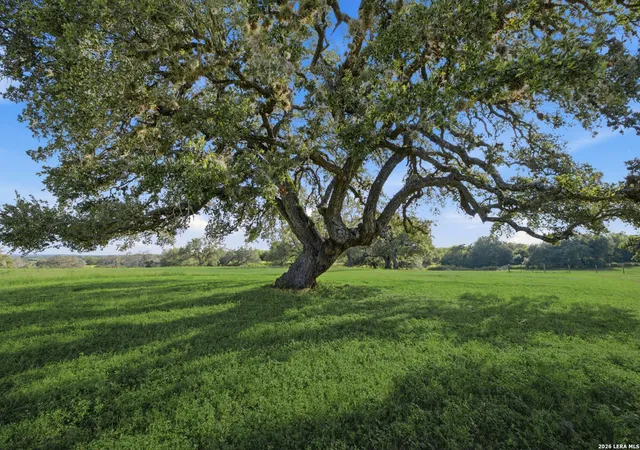 2nd image of 3200 Auxiliary Airport Road, Seguin, TX 78155 | MLS# 1994052