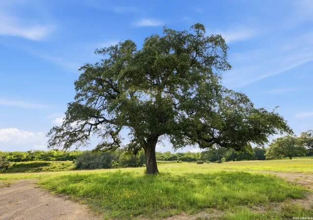 4th image of 3200 Auxiliary Airport Road, Seguin, TX 78155 | MLS# 1994052