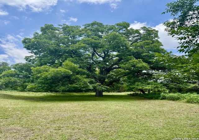 1st image of 359 Bud Danner Dr, Leakey, TX 78873 | MLS# 1994072