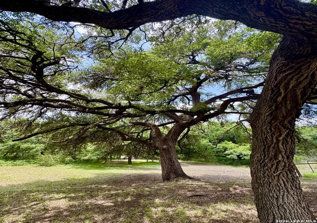 5th image of 359 Bud Danner Dr, Leakey, TX 78873 | MLS# 1994072