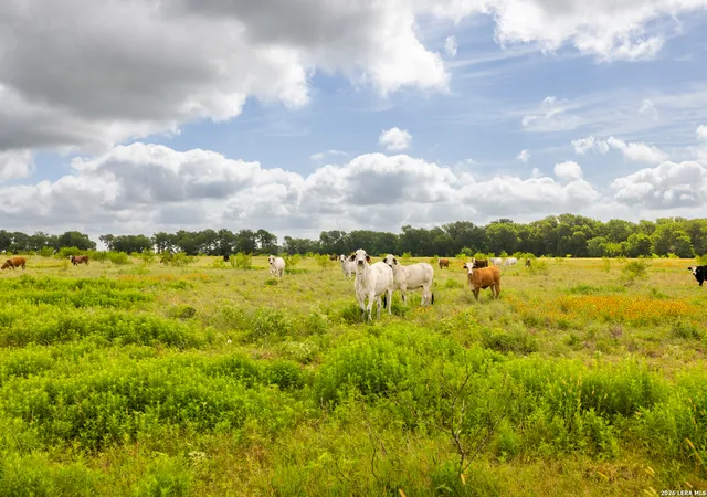 Photo 1 of Land for sale at 408 E Fm 739, Corsicana, TX 75109 | MLS# 1994086 | Listing updated on 2026-07-03