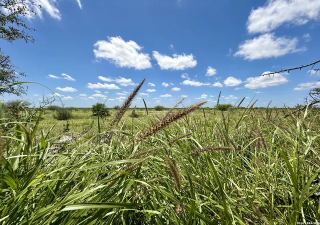 1st image of 0 Cr 235, Three Rivers, TX 78071 | MLS# 1994106