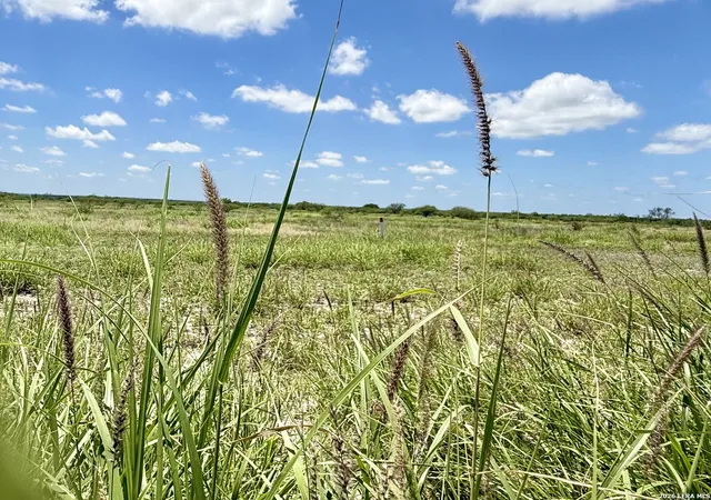 3rd image of 0 Cr 235, Three Rivers, TX 78071 | MLS# 1994106