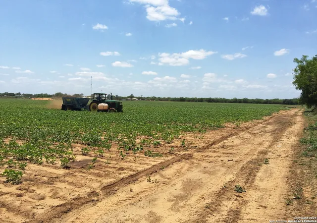 17th image of 304 County Road 6611, Devine, TX 78016 | MLS# 1994287