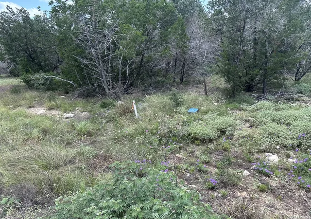 Photo 3 of Land for sale at 947 Serene Park Dr, Spring Branch, TX 78070 | MLS# 1994314 | Listing updated on 2026-07-04