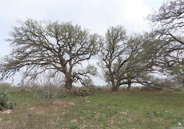 5th image of 678 Tank Hollow Rd, Poteet, TX 78065 | MLS# 1994510