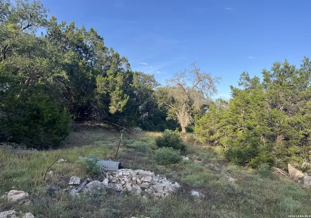 1st image of 1615 Forest Lake, Spring Branch, TX 78070 | MLS# 1994517