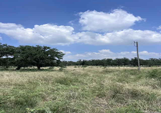 12th image of 0 Hollmig, Fredericksburg, TX 78624 | MLS# 1994556
