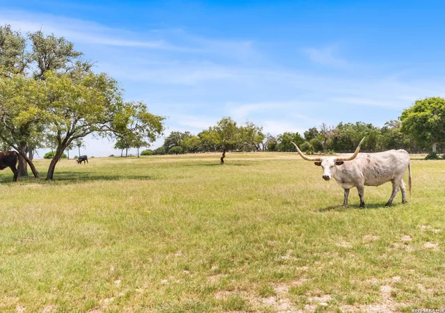 Homes for sale in Fredericksburg, TX | Lot 88 Axis Circle, Fredericksburg, TX 78624 | MLS# 1994605