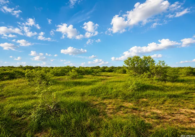 Photo 4 of Land for sale at Tbd County Road 467, Elgin, TX 78621 | MLS# 1994630 | Listing updated on 2026-07-11