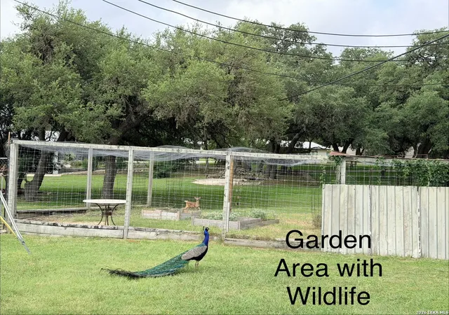 5th image of 25423 Triangle Loop, San Antonio, TX 78255 | MLS# 1995124
