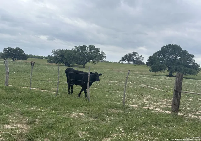 6th image of Tbd (tr 5) W Gates Valley Rd, Poteet, TX 78065 | MLS# 1995135