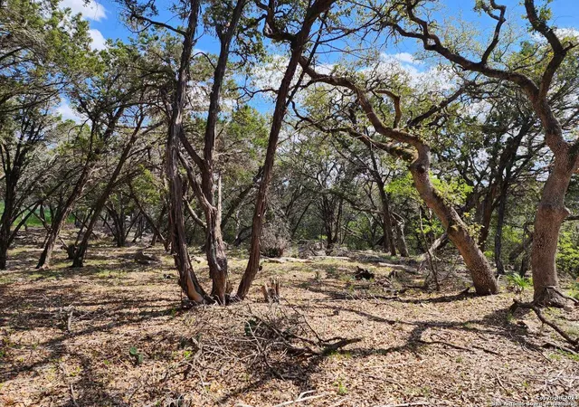 1st image of Lot 18 Forest Lake Dr, Spring Branch, TX 78070 | MLS# 1995136