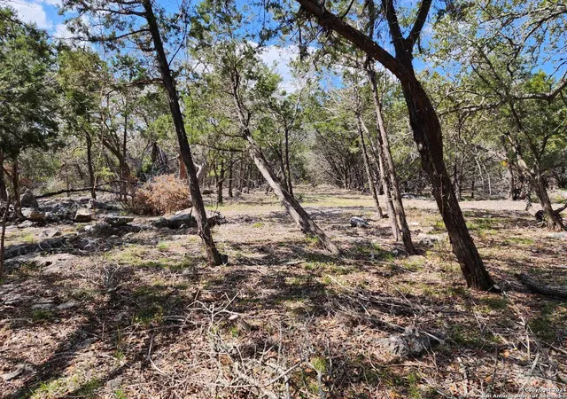 2nd image of Lot 18 Forest Lake Dr, Spring Branch, TX 78070 | MLS# 1995136