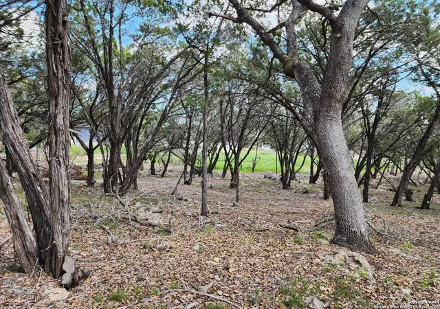 Photo 3 of Land for sale at Lot 18 Forest Lake Dr, Spring Branch, TX 78070 | MLS# 1995136 | Listing updated on 2026-07-06