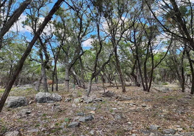 Photo 4 of Land for sale at Lot 18 Forest Lake Dr, Spring Branch, TX 78070 | MLS# 1995136 | Listing updated on 2026-07-06