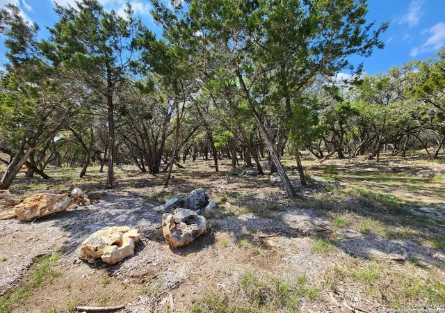 1st image of Lot 19 Forest Lake Dr, Spring Branch, TX 78070 | MLS# 1995139