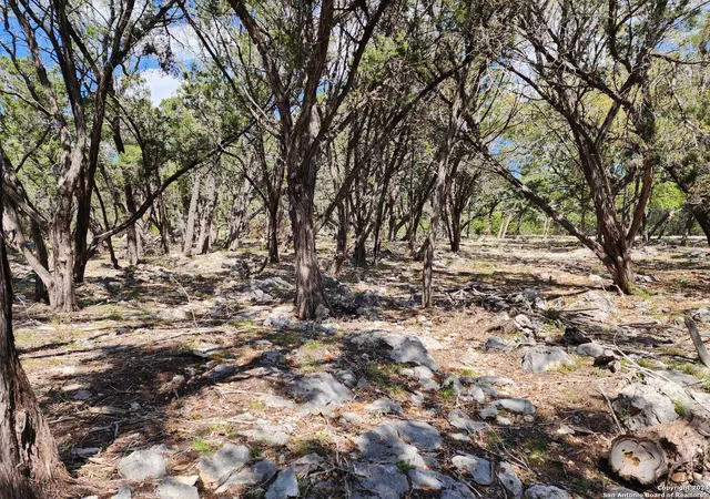 2nd image of Lot 19 Forest Lake Dr, Spring Branch, TX 78070 | MLS# 1995139