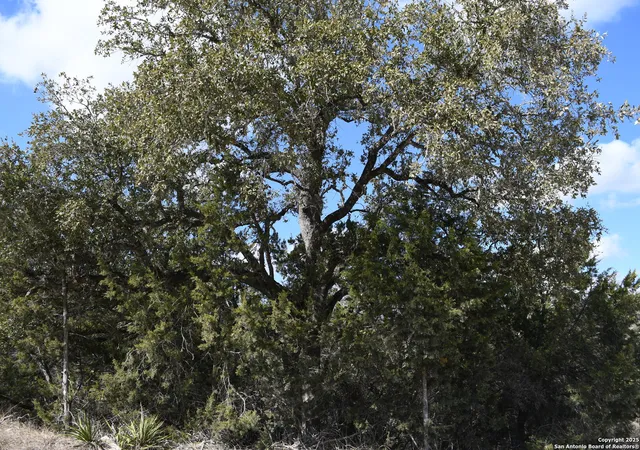 Photo 1 of Land for sale at 979 & 987 Deer Valley Pass, Spring Branch, TX 78070 | MLS# 1995276 | Listing updated on 2026-07-07