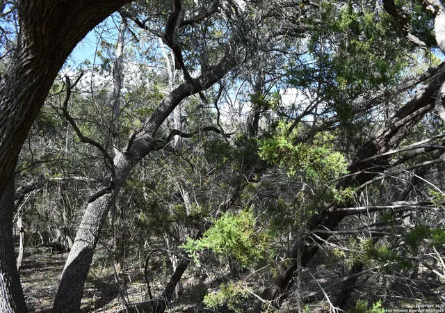 Photo 3 of Land for sale at 979 & 987 Deer Valley Pass, Spring Branch, TX 78070 | MLS# 1995276 | Listing updated on 2026-07-07