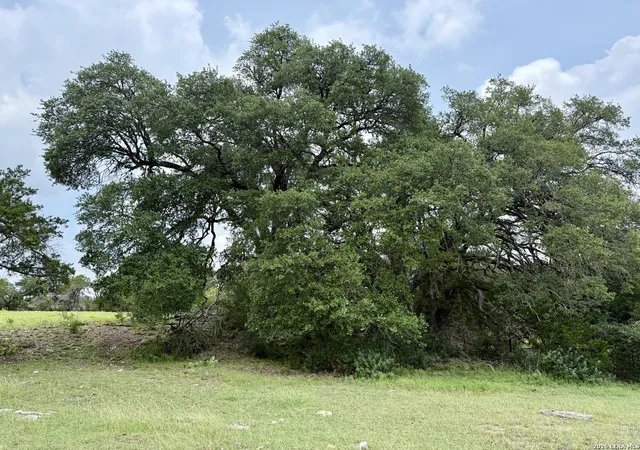 3rd image of 2371 #B Rr 165, Dripping Springs, TX 78620 | MLS# 1995311