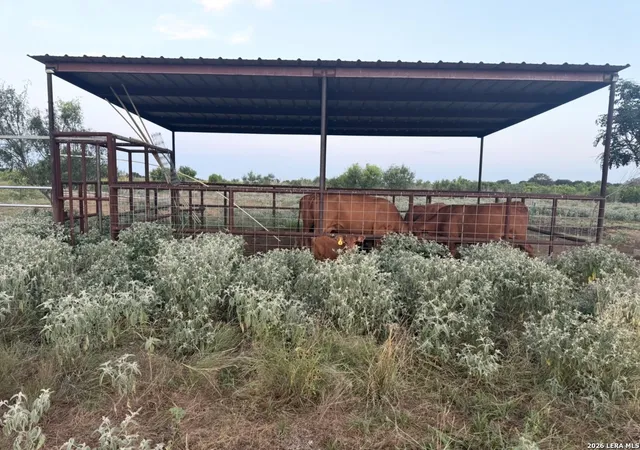 3rd image of 4167 County Road 136, Floresville, TX 78114 | MLS# 1995353