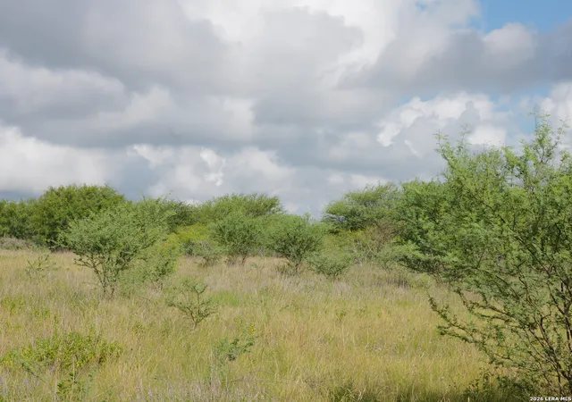 Homes for sale in Hobson, TX | Tbd Lot 2 Cr 207, Hobson, TX 78117 | MLS# 1995368