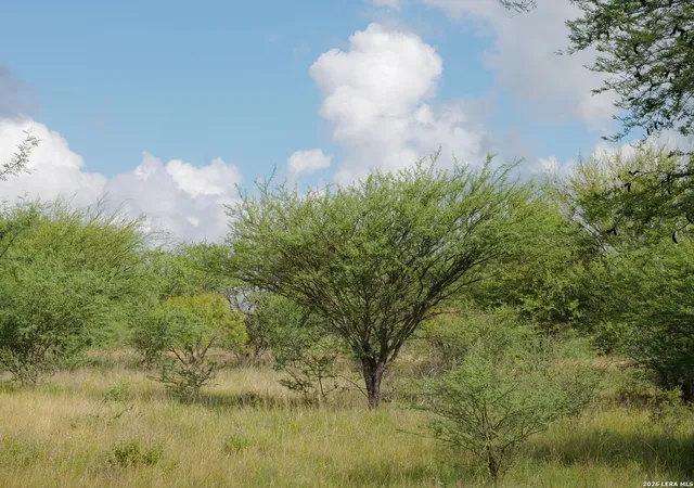 Homes for sale in Hobson, TX | Tbd Lot 2 Cr 207, Hobson, TX 78117 | MLS# 1995368