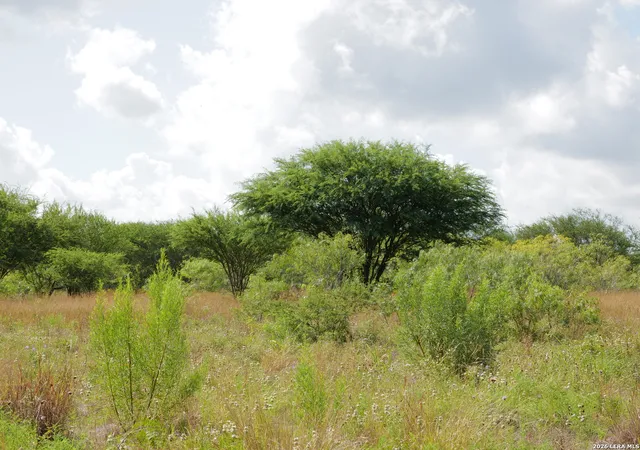 Homes for sale in Hobson, TX | Tbd Lot 3 Cr 207, Hobson, TX 78117 | MLS# 1995380