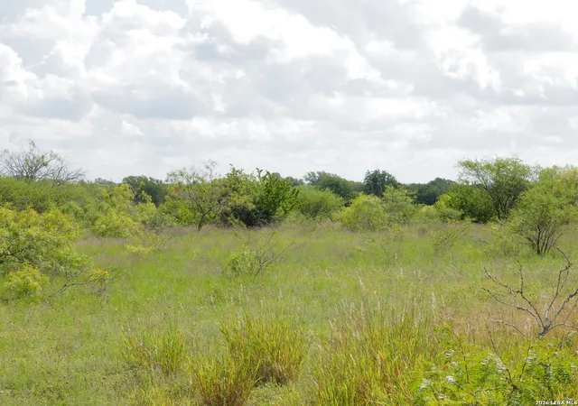 Homes for sale in Hobson, TX | Tbd Lot 3 Cr 207, Hobson, TX 78117 | MLS# 1995380