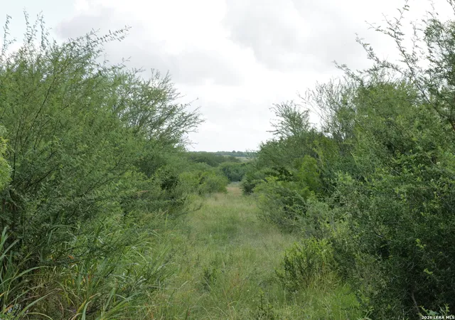 Homes for sale in Hobson, TX | Tbd Lot 4 Cr 207, Hobson, TX 78117 | MLS# 1995395