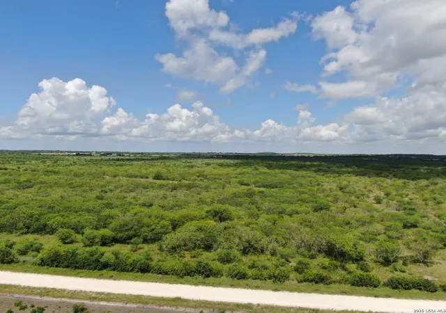 Homes for sale in Hobson, TX | Tbd Lot 5 Cr 208, Hobson, TX 78117 | MLS# 1995404