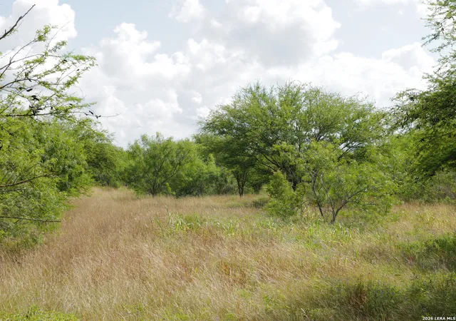 Homes for sale in Hobson, TX | Tbd Lot 5 Cr 208, Hobson, TX 78117 | MLS# 1995404