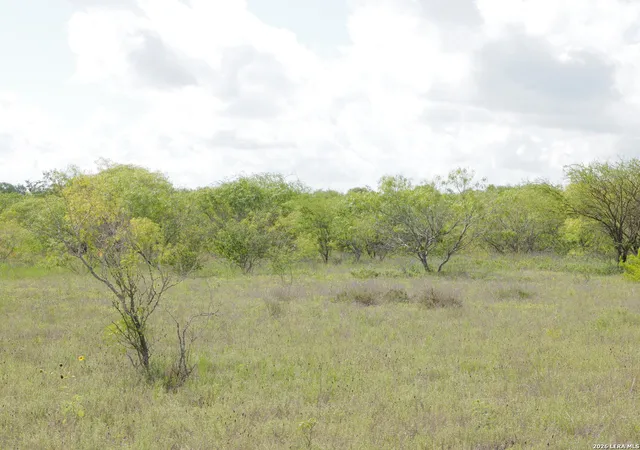Homes for sale in Hobson, TX | Tbd Lot 5 Cr 208, Hobson, TX 78117 | MLS# 1995404