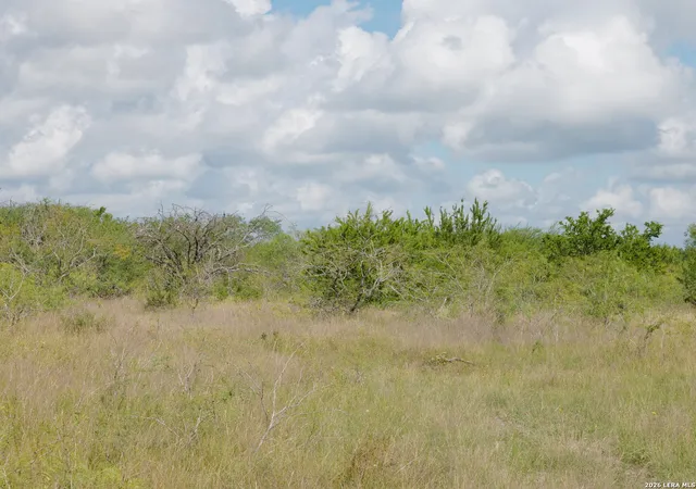 Homes for sale in Hobson, TX | Tbd Lot 5 Cr 208, Hobson, TX 78117 | MLS# 1995404