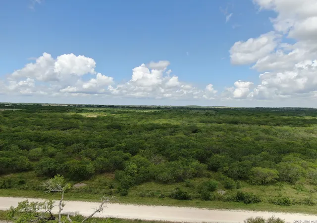 Homes for sale in Hobson, TX | Tbd Lot 6 Cr 208, Hobson, TX 78117 | MLS# 1995415