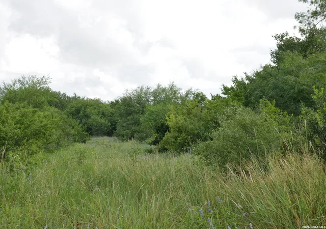 Homes for sale in Hobson, TX | Tbd Lot 6 Cr 208, Hobson, TX 78117 | MLS# 1995415