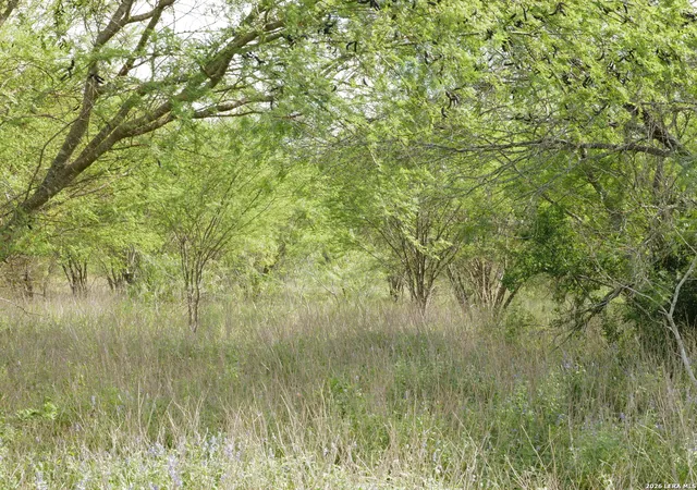 Homes for sale in Hobson, TX | Tbd Lot 6 Cr 208, Hobson, TX 78117 | MLS# 1995415