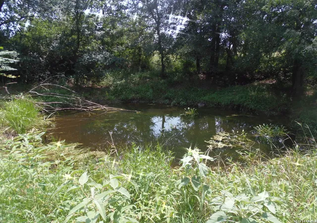 Photo 4 of House for sale at 90 Romberg Road, Dale, TX 78616 | MLS# 1995668 | Listing updated on 2026-07-08