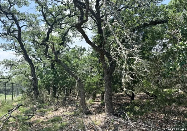 Photo 1 of Sale Pending at 128 Coneflower Dr, Spring Branch, TX 78070 | MLS# 1995671 | Listing updated on 2026-09-10