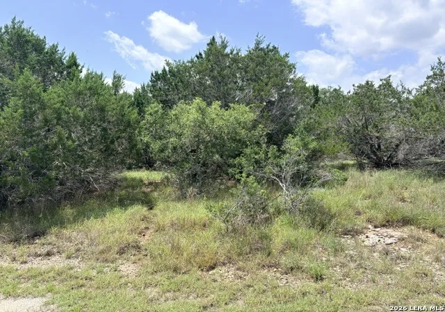 Photo 3 of Sale Pending at 128 Coneflower Dr, Spring Branch, TX 78070 | MLS# 1995671 | Listing updated on 2026-09-10