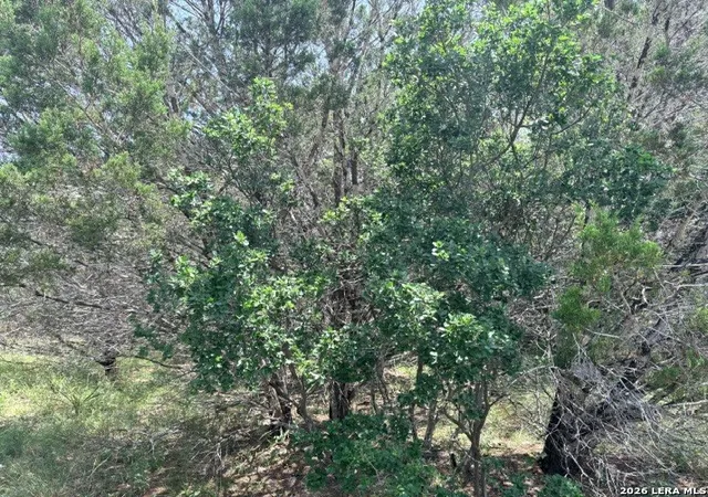 Photo 4 of Sale Pending at 128 Coneflower Dr, Spring Branch, TX 78070 | MLS# 1995671 | Listing updated on 2026-09-10