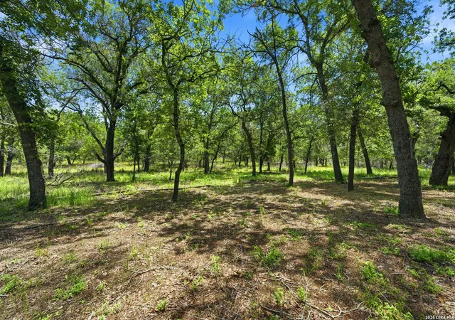 Homes for sale in La Vernia, TX | 216 Oak Grv, La Vernia, TX 78121 | MLS# 1996015