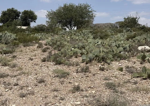 3rd image of 138 N Elder St, Del Rio, TX 78840 | MLS# 1996119