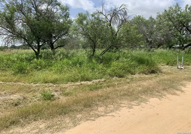 1st image of 319 Karen Kourt, Devine, TX 78016 | MLS# 1996267