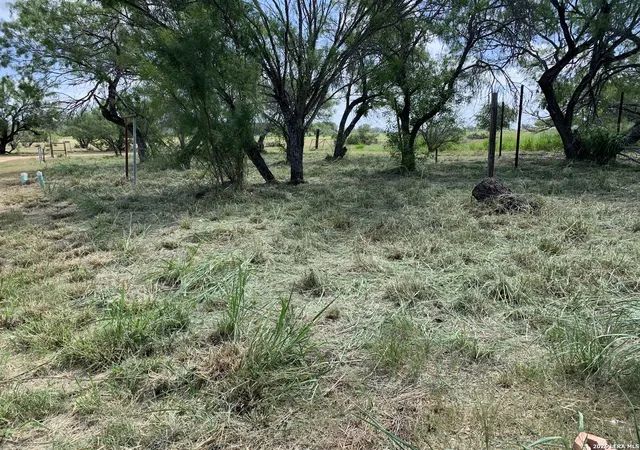 8th image of 319 Karen Kourt, Devine, TX 78016 | MLS# 1996267