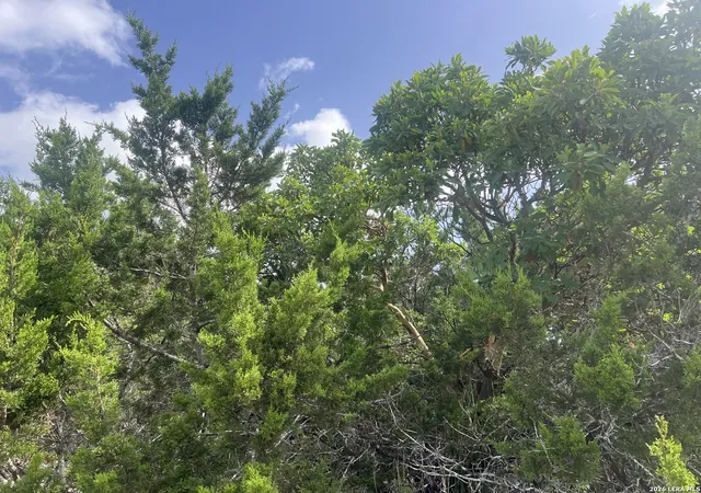 Photo 4 of Land for sale at 268 Scenic Hills Dr, Canyon Lake, TX 78133 | MLS# 1996491 | Listing updated on 2026-10-22
