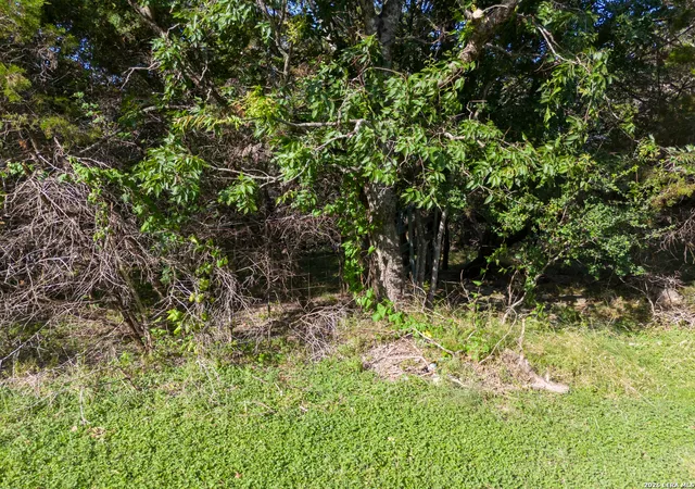 Homes for sale in Morgan's Point, TX | 0 Lake Vista, Morgan's Point, TX 76513 | MLS# 1996574