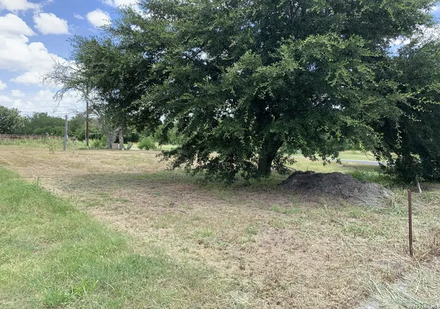 3rd image of 12070 Rathskeller, La Coste, TX 78039 | MLS# 1996583