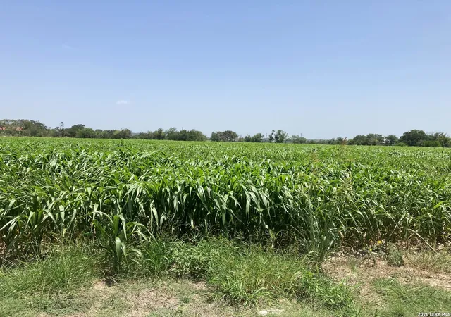4th image of 000 County Road 4522, Hondo, TX 78861 | MLS# 1996646